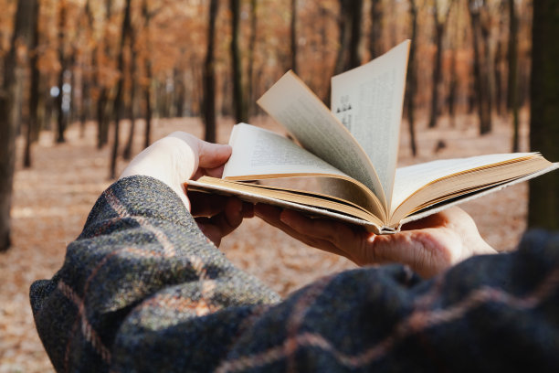 在森林里翻看开卷书的人图片下载