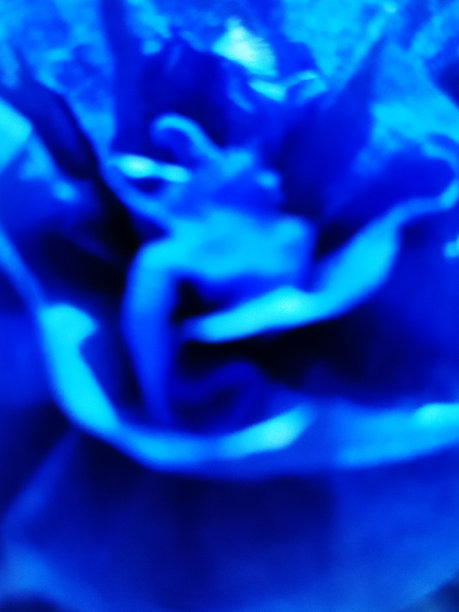 纸做的玫瑰枝的模糊图像。图片下载