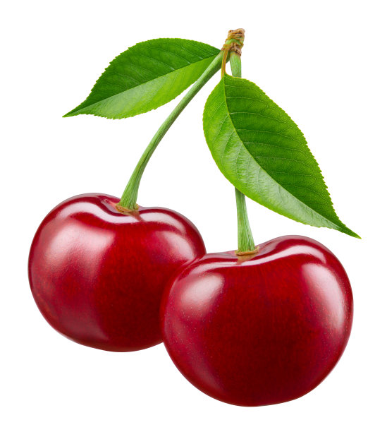 樱桃孤立。两颗樱桃，白底带叶。酸樱桃加白葡萄酒。剪切路径。全景深。图片下载