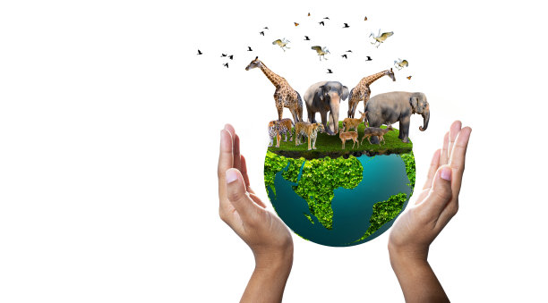 世界动物日世界野生动物日成群的野生动物聚集在人们的手中图片下载