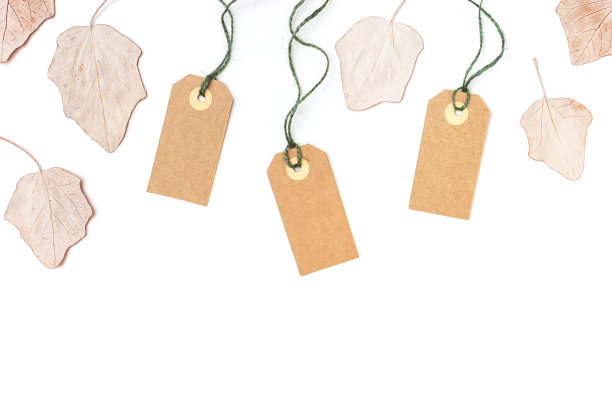 秋季销售标签和干叶孤立在白色背景。装饰落叶的牛皮纸空白标签。最小平铺，米色，模拟折扣价格，秋季销售概念图片下载