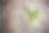 特写树新生命的年轮。在老树桩上生长的绿色植物叶子。希望在未来的自然环境中获得新的生命，更新与商业发展和生态的象征性概念。图片下载