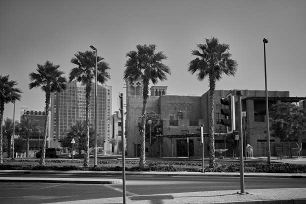 阿拉伯联合酋长国迪拜海滨的棕榈树图片下载