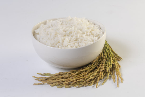 煮熟的米饭放在碗里，稻穗放在白色的背景上图片下载