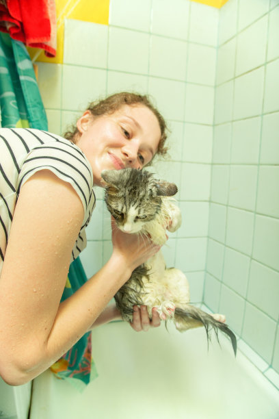 洗家猫图片下载