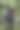 微笑的年轻女子长头发骑着马在牧场的树图片下载