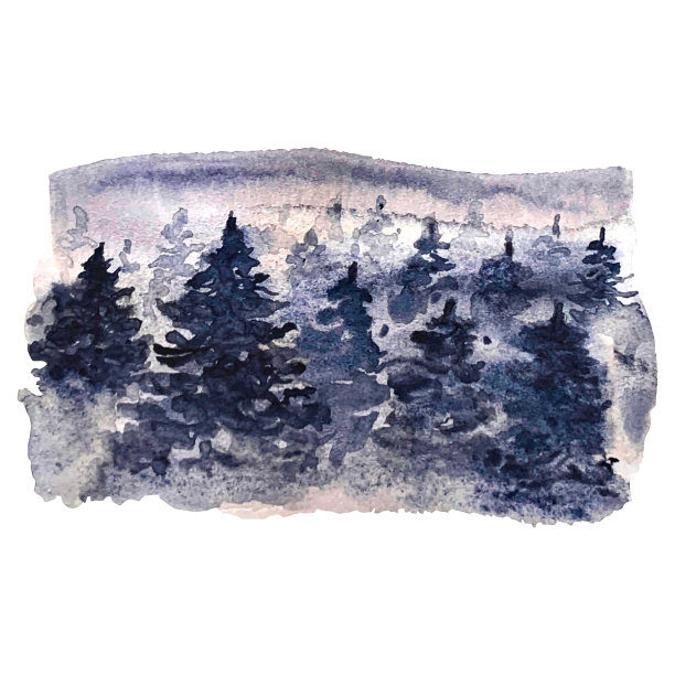 水彩森林。抽象的背景。装饰的模板。孤立的插图。图片下载