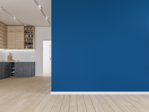 空荡荡的客厅里有一面大的灰泥墙，背景是一间现代化的厨房图片下载