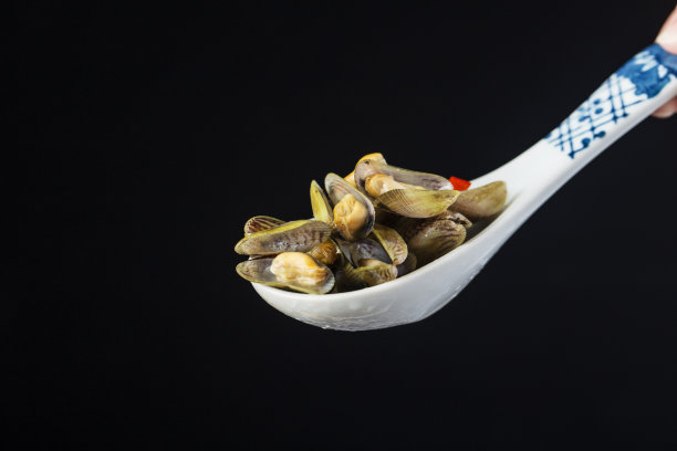 中国潮州菜，一盘西葫芦图片下载