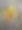 印度乡村森林沙漠风信子植物花朵特写照片图片下载