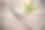 特写树新生命的年轮。在老树桩上生长的绿色植物叶子。希望在未来的自然环境中获得新的生命，更新与商业发展和生态的象征性概念。图片下载