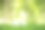 环境友好型房地产。绿色自然生态草地上的小型模型房屋。可持续节能住宅设计与售租经营理念图片下载