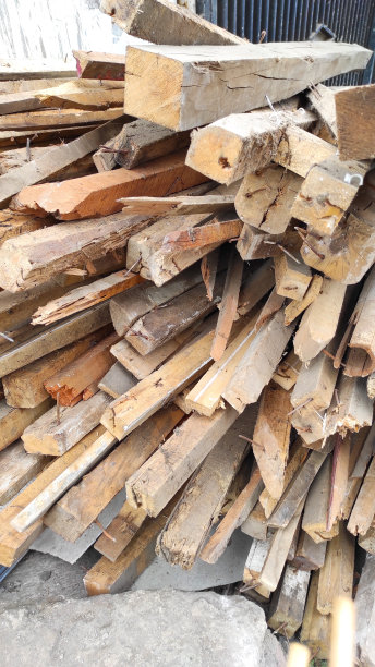瓦砾堆上一堆堆木头的照片图片下载