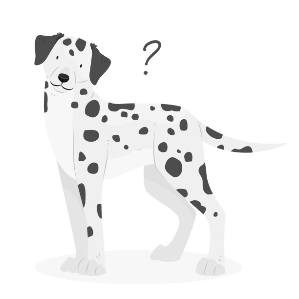 带问号的达尔马提亚狗。狗的问题。一只歪着头的不明事理的狗。向量宠物插图。图片下载