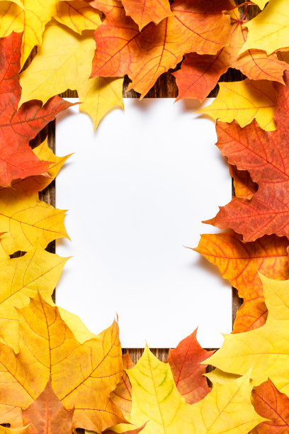 中秋佳节贺卡模板。空白白纸模型与秋天秋天干树叶在木制桌子的背景。色彩鲜艳,斑驳的树叶。平铺，俯视图，拷贝空间。图片下载