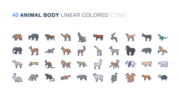 动物体线形着色图片下载