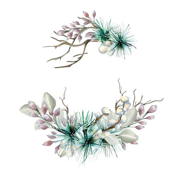 框架的针叶分支，针水彩插图孤立在白色。图片下载