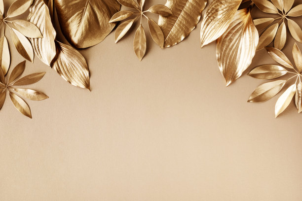 金色叶子自然创意布局，设计俯视图。装饰彩绘元素贺卡，聚会和旅游概念。图片下载