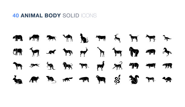 动物体固体图片下载