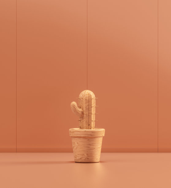 单色房间的木制仙人掌花盆，3d渲染图片下载