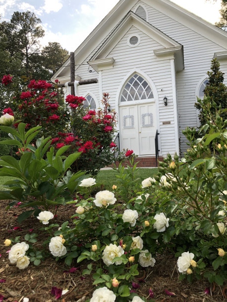 教堂的花园图片下载