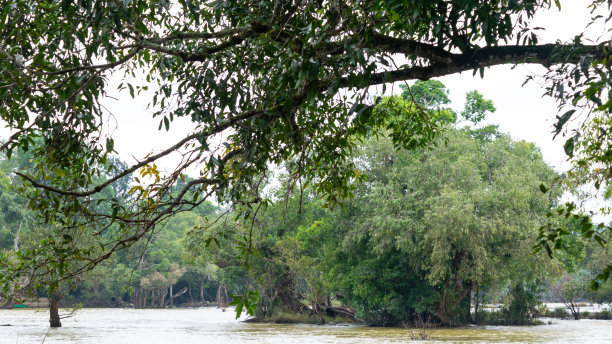 卡纳塔克邦到乌提国家公园观光之旅照片图片下载