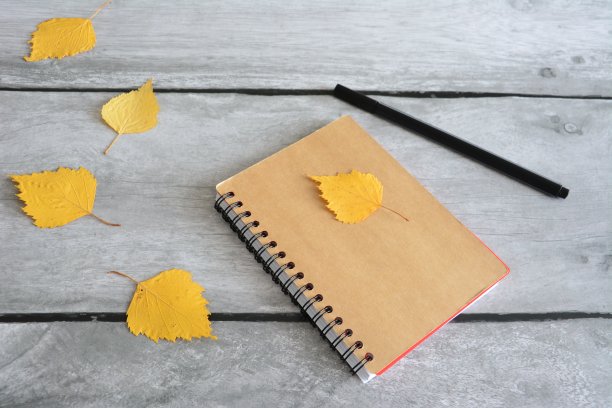 在灰色的背景与干燥的秋叶和黑色钢笔Copybook图片下载
