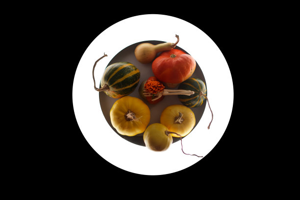 一个光圈，里面有许多美丽的不同的南瓜尾巴和一个带花的骷髅手。万圣节的封面图片下载