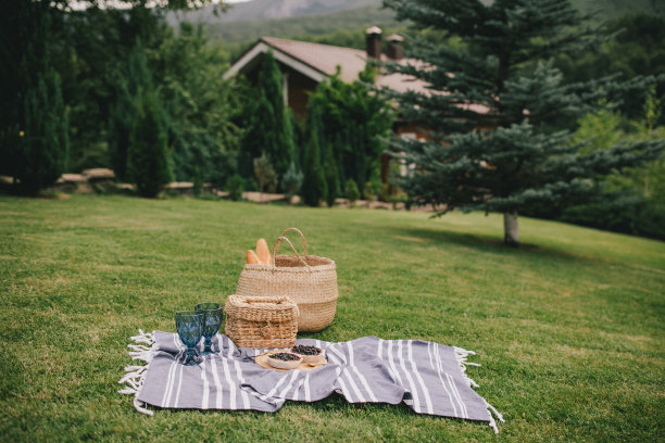 美丽浪漫的野餐，蛋糕和两杯酒在绿色的草地上。图片下载