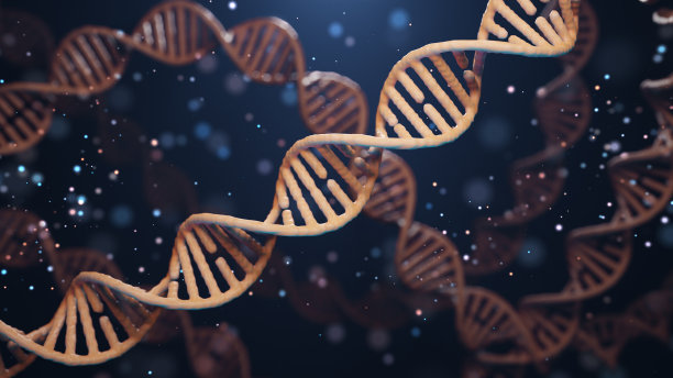 3 d渲染。深蓝色背景上的DNA螺旋。医学概念。素材图片