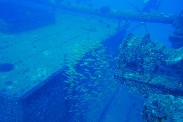 在瓦胡岛潜水。和您的沉船潜水专家瓦胡岛潜水一起进行沉船潜水冒险。图片下载