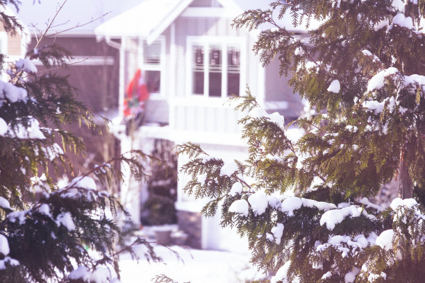 西雅图郊区的冬天图片下载