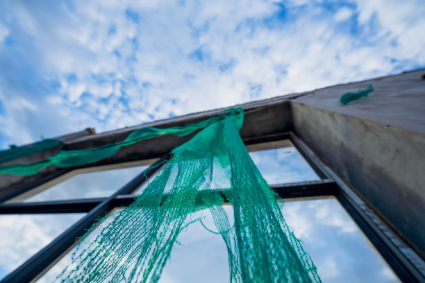 早上墙图片下载