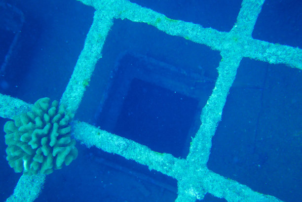 在瓦胡岛潜水。和您的沉船潜水专家瓦胡岛潜水一起进行沉船潜水冒险。图片下载