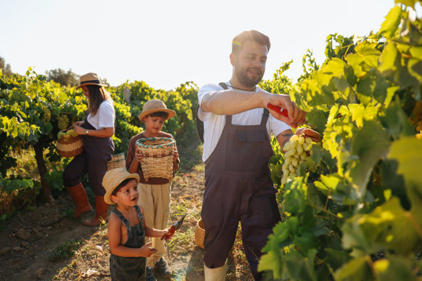喜欢花时间在一起图片下载