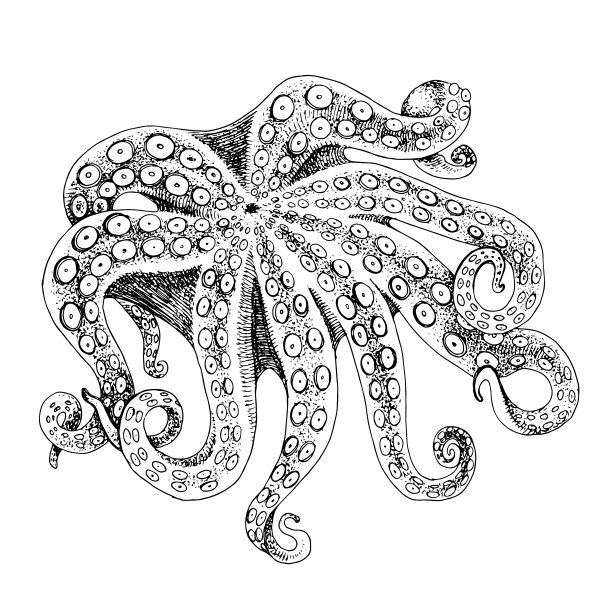 大生章鱼海鲜俯视图图片下载