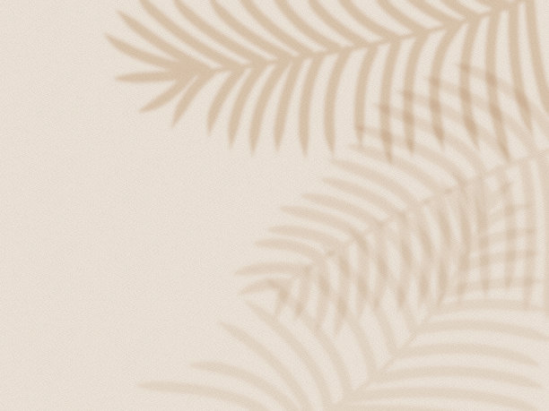 棕叶阴影背景米色墙图片下载