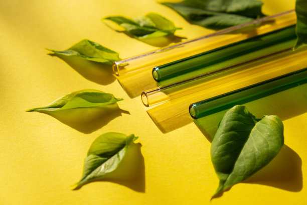 可重复使用的玻璃吸管，五颜六色的背景，绿色的叶子，环保的饮用吸管，可重复使用舒适的圆头饮用吸管。零浪费，无塑料概念。野餐的概念图片下载