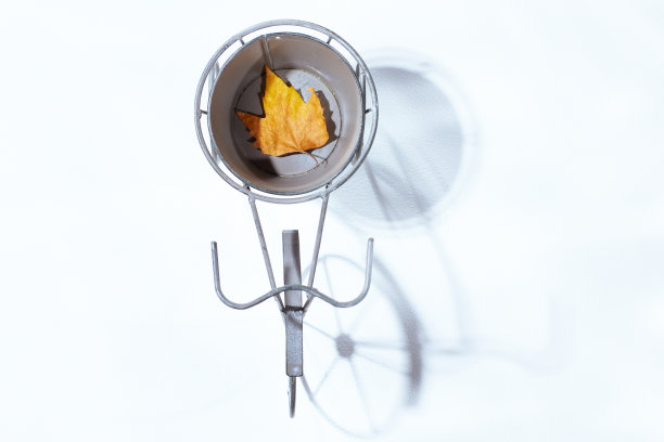 秋天平躺在白色的秋叶上图片下载