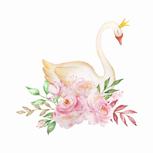 水彩精致的白天鹅公主图片下载