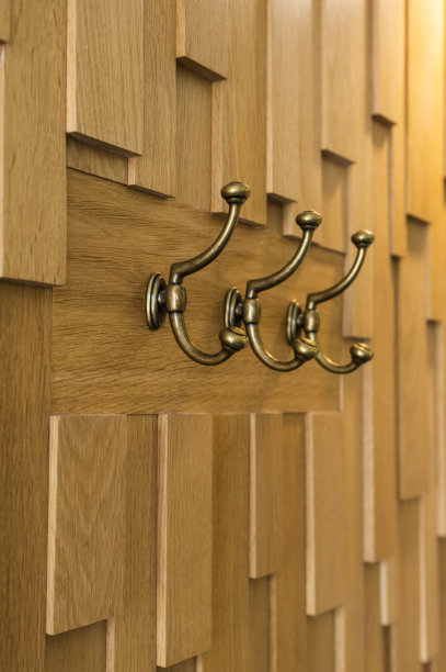 墙上挂衣架挂在木墙上图片下载