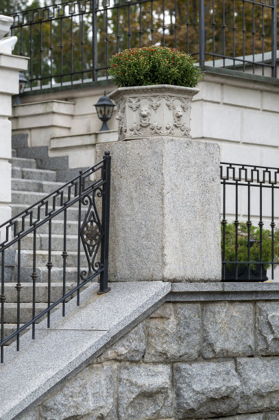 景观设计中的黄杨灌木石阶图片下载