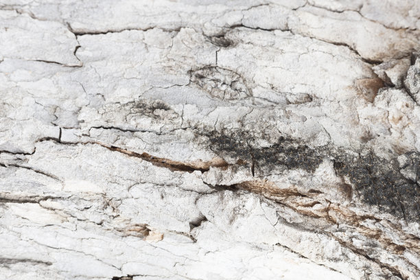 抽象地板陶瓷柜台质感石材图片下载