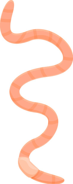 堆肥蚯蚓图标卡通花园蠕虫图片下载