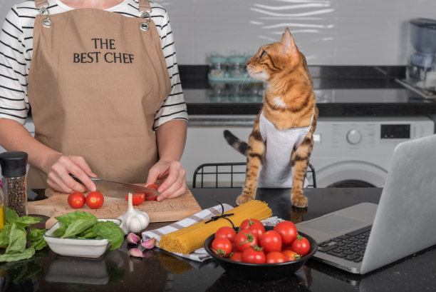 这只猫和她的主人通过查看笔记本电脑里的食谱来准备食物。图片下载