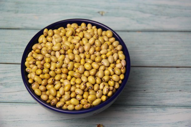 黄豆(Phaseolus vulgaris)图片下载