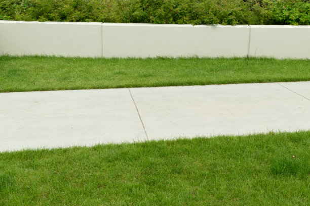 现代铺平了道路图片下载