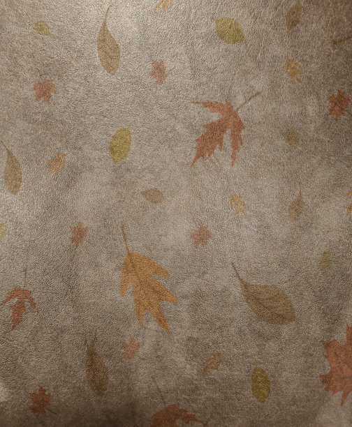 棕色皮革纹理背景的设计作品，复制空间的文本图片下载