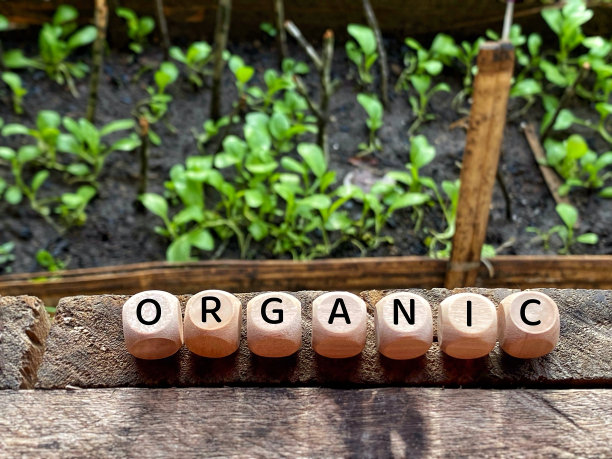 健康的生活方式的概念图片下载