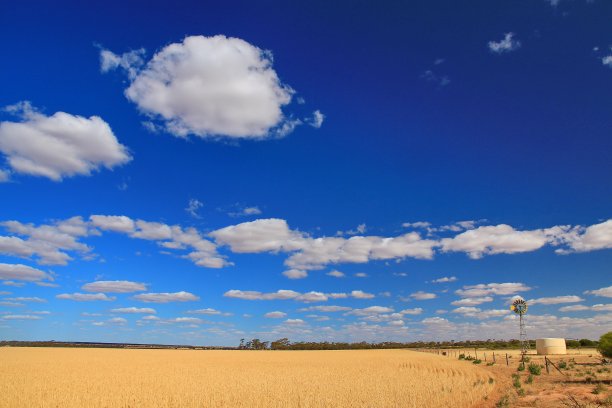澳大利亚内陆的风车图片下载